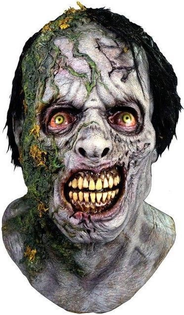 The Walking Dead masker (Off. License): Mask | bol.com