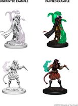 Dungeons and Dragons: Nolzurs Marvelous Miniatures - Tiefling Female Sorcerer