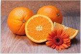 Schilderij Sinaasappel met oranje madeliefje, 4 maten, oranje/bruin