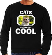 Dieren katten sweater zwart heren - cats are serious cool trui - cadeau sweater gekke poes/ katten liefhebber M