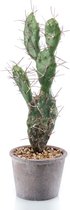 Kunst Cactus Sabra 42 cm in pot