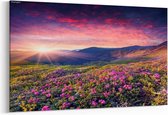 Schilderij - Magische roze rododendron bloemen op een berg — 90x60 cm