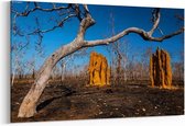 Schilderij - Cathedral Termite Mounds na een bosbrand — 90x60 cm