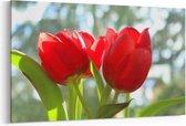 Schilderij - Tulpen — 100x70 cm