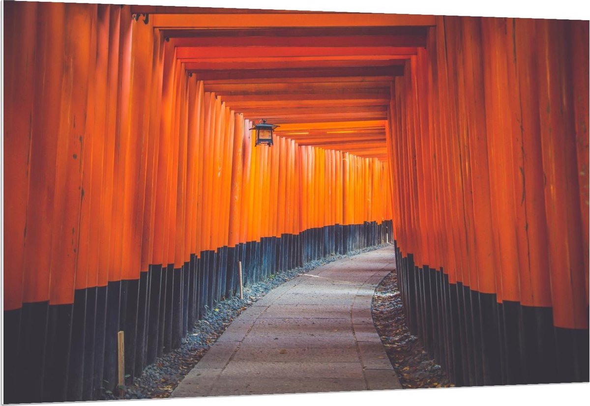 Forex - Gang van Oranje Palen - 150x100cm Foto op Forex