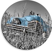 Dibond Wandcirkel - Blauwe Retro Auto in Gras - 40x40cm Foto op Aluminium Wandcirkel (met ophangsysteem)