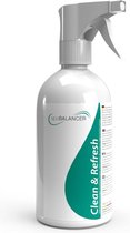 Spa Balancer clean & refresh 500ML - Spa outside cleaner - Spa reiniger