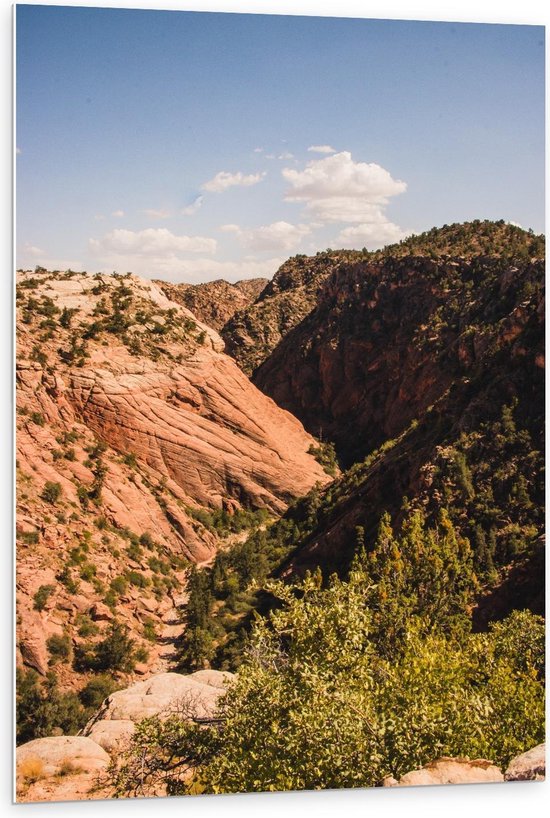 Forex - Berggebied - 80x120cm Foto op Forex