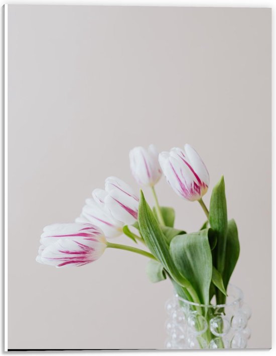 Forex - Vaasje met Witte/Roze Tulpen - 30x40cm Foto op Forex