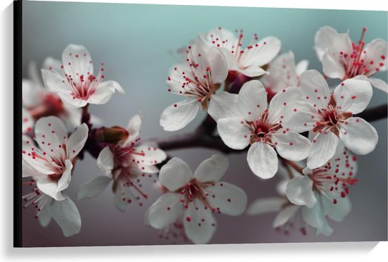 Canvas  - Witte Bloemen op Spiegelglas - 90x60cm Foto op Canvas Schilderij (Wanddecoratie op Canvas)