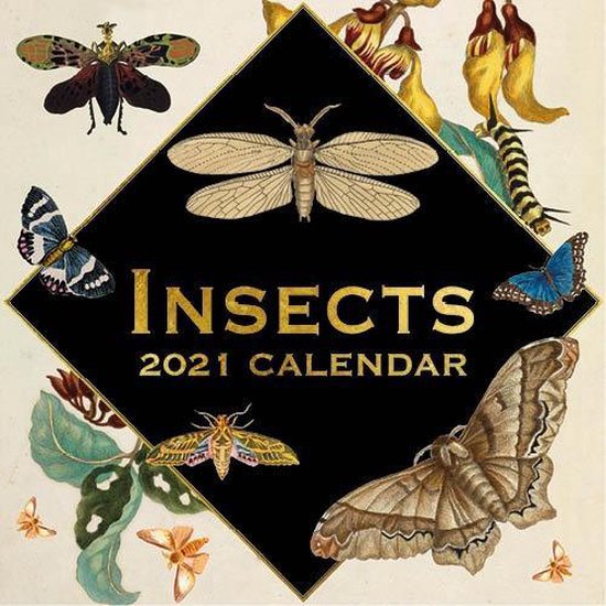Insects Kalender 2021 (formaat 30x30) | bol.com