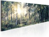 Artgeist Morning Magic Canvas Schilderij - 150x50cm