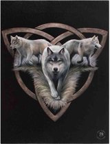 Anne Stokes small Wolf trio canvas schilderij