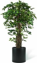 Kunstplant Ficus Tropisch Liana 150 cm