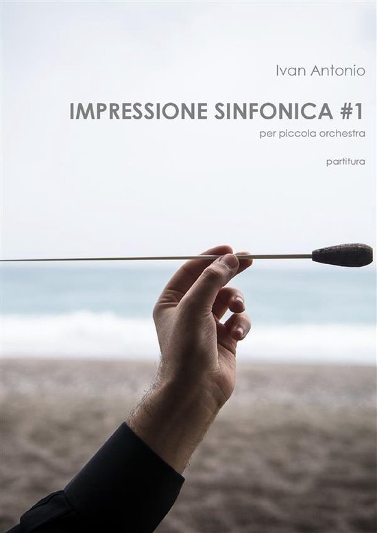 Foto: Impressione sinfonica per piccola orchestra