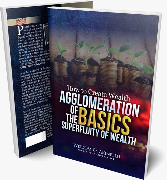 HOW TO CREATE WEALTH FROM SCRATCH: AGGLOMERATION OF THE BASI ... - cover