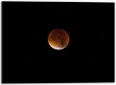 Dibond - Volle Maan op Zwarte Achtergrond  - 40x30cm Foto op Aluminium (Wanddecoratie van metaal)