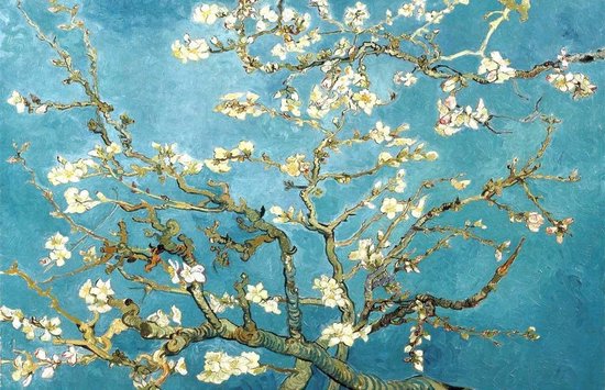Diamond Painting 30 x 20 cm - Almond Blossom Van Gogh - A18689 - vierkante  steentjes... | bol