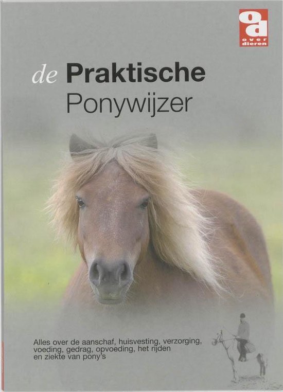 Cover van het boek 'Praktische ponywijzer' van WillemÄ³n van Dennebroek