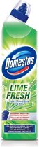 Totale Hygiene Lime Fresh Toilet Cleaning Gel 700ml