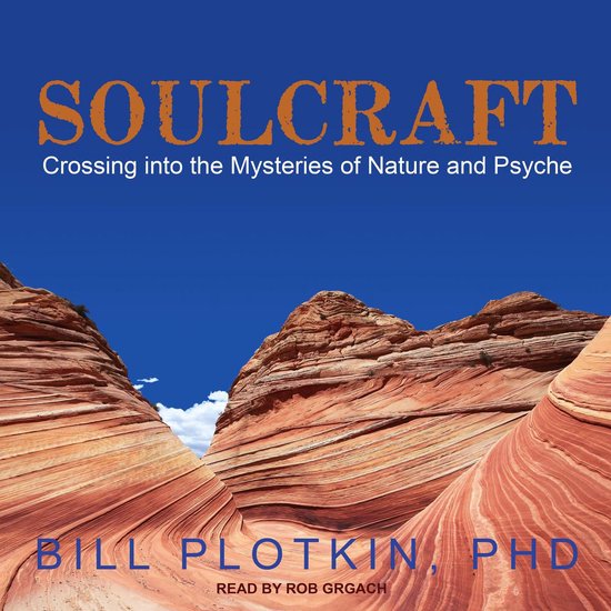 Soulcraft - cover