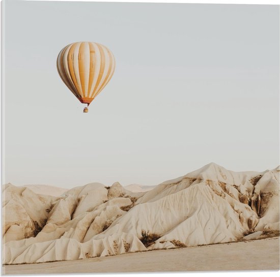 Acrylglas - Luchtballon boven Woestijn - 50x50cm Foto op Acrylglas (Met Ophangsysteem)