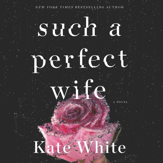 Such a Perfect Wife - cover