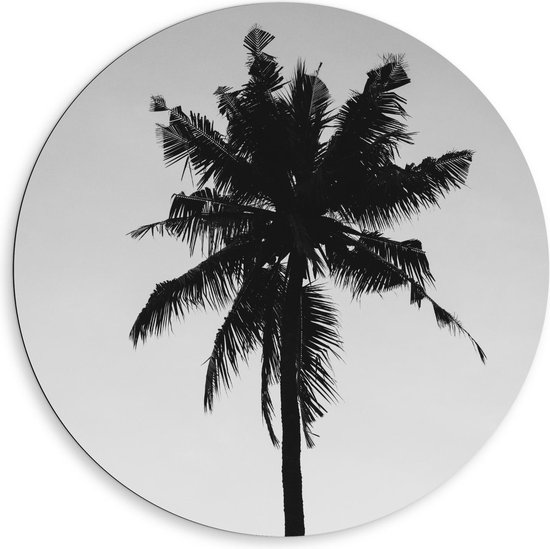 Dibond Wandcirkel - Silhouet van Palmboom  - 80x80cm Foto op Aluminium Wandcirkel (met ophangsysteem)