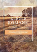 Omslag Elegie romane