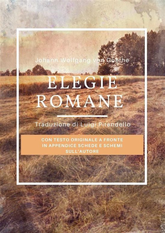 Elegie romane (ebook), Jhoann Wolfgang Goethe 9788835899372 Boeken