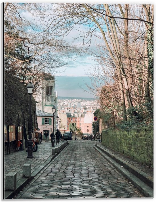 Dibond - Weg naar Uitzicht - 30x40cm Foto op Aluminium (Met Ophangsysteem)