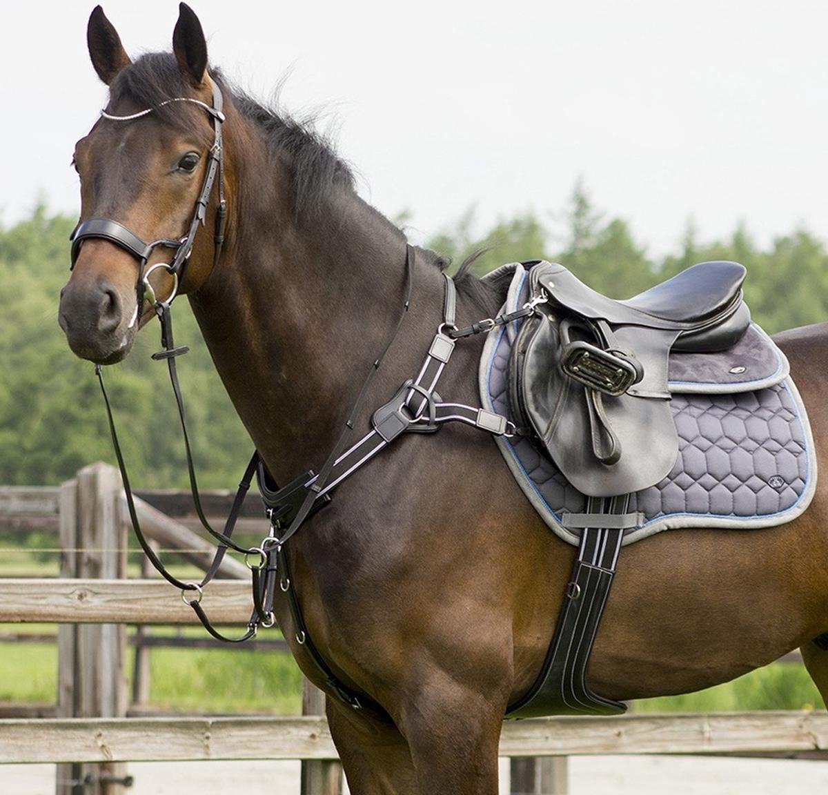 QHP Cavezza In Pelle Per Cavallo - Morbida, Con Fibbie In Ottone, Taglia COB, Nero
