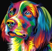 Best Pause Hond multikleur - Schilderen op nummer - 40x50 cm - DIY Hobby Pakket, Sinterklaas Speelgoed Kerst Cadeau