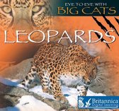 Eye to Eye with Big Cats - Leopards