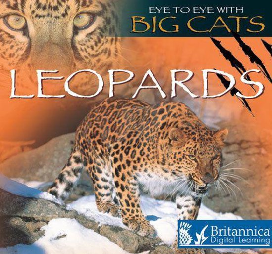 Eye to Eye with Big Cats - Leopards - cover