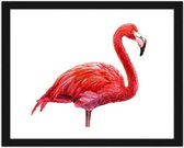 Foto in frame Getekende roze flamingo II, 3 maten, Premium print