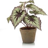 Kunstplant Begonia grijs/paars 25 cm in pot