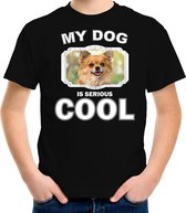 Chihuahua honden t-shirt my dog is serious cool zwart - kinderen - Chihuahuas liefhebber cadeau shirt M (134-140)