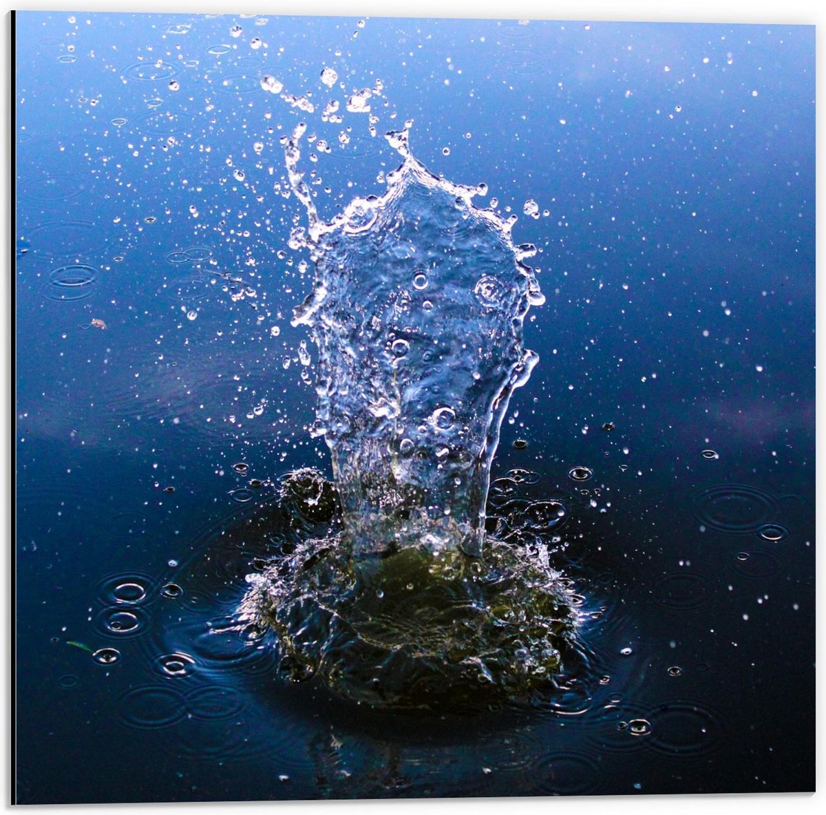 Dibond - Steen plonzend in Water - 50x50cm Foto op Aluminium (Met Ophangsysteem)