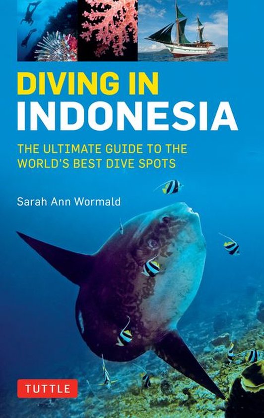 Foto: Diving in indonesia