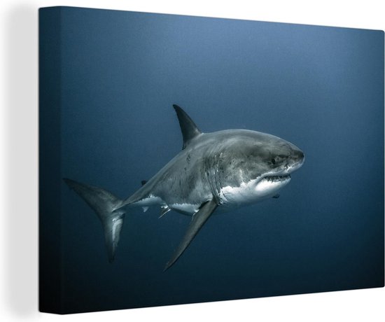 Canvas Schilderij Een grote witte haai in donker water - 120x80 cm - Wanddecoratie