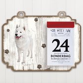 Scheurkalender 2023 Hond: Samojeet