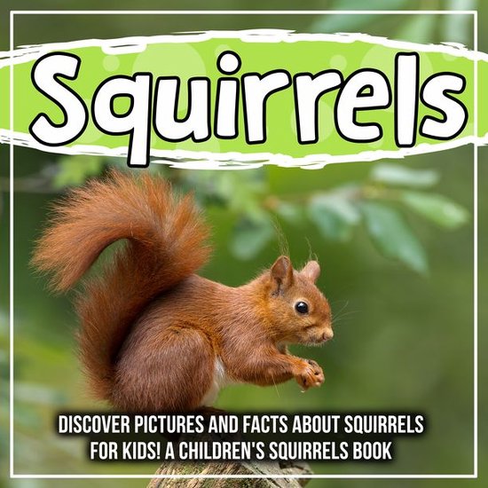 Squirrels Discover Pictures and Facts About Squirrels For Kids! A
