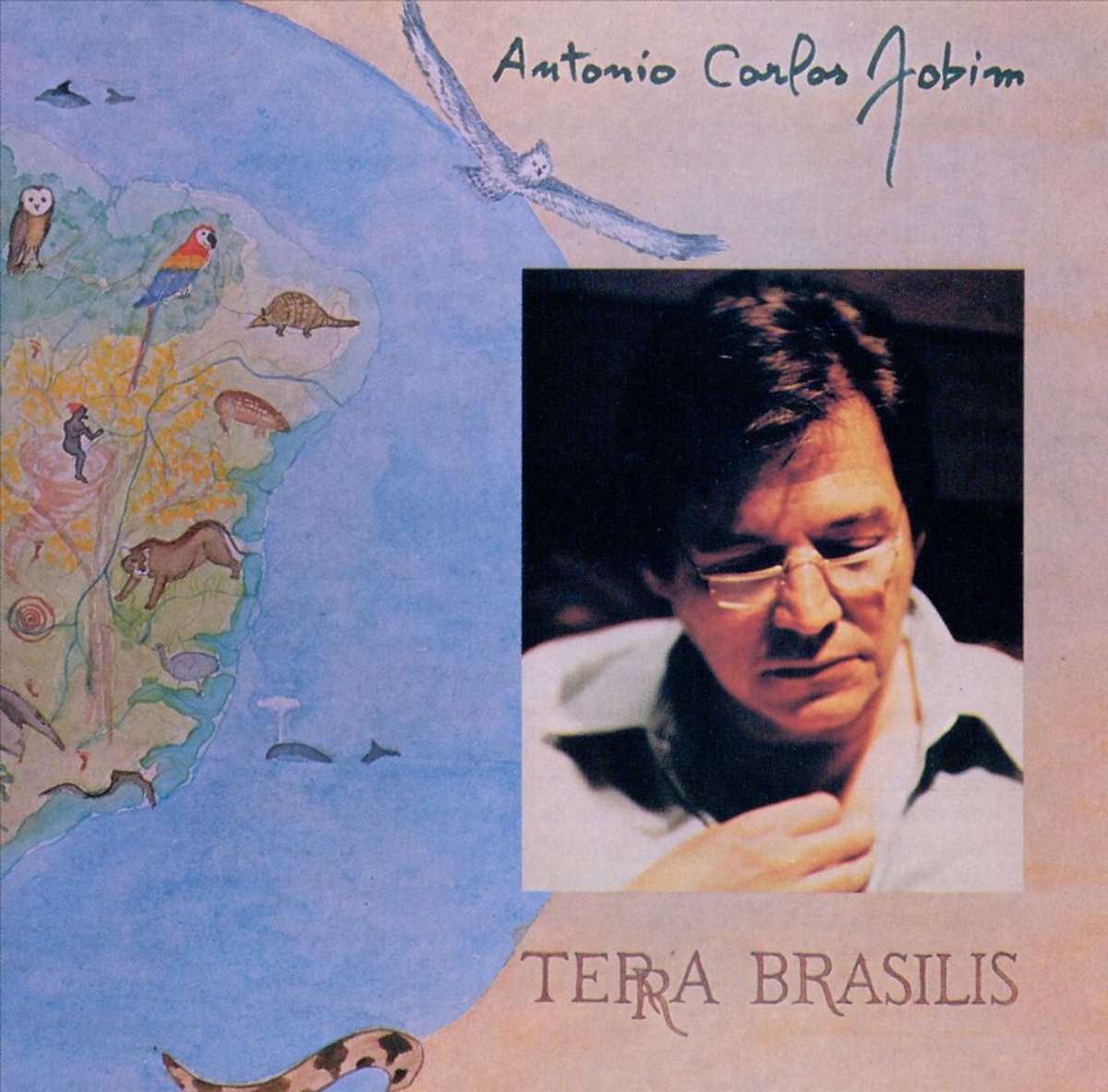 Terra Brasilis
