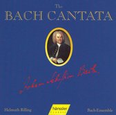 Bach Kantate, Vol. 31