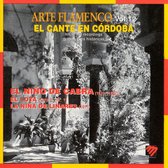 Arte Flamenco Vol. 12
