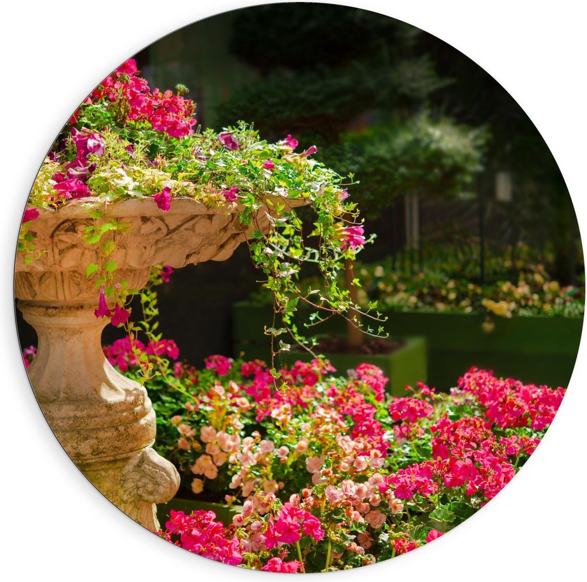 Dibond Wandcirkel - Roze Bloemenstruik met Fontein - 90x90cm Foto op Aluminium Wandcirkel
