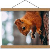 Schoolplaat – Eekhoorn op Boomstam - 40x30cm Foto op Textielposter (Wanddecoratie op Schoolplaat)