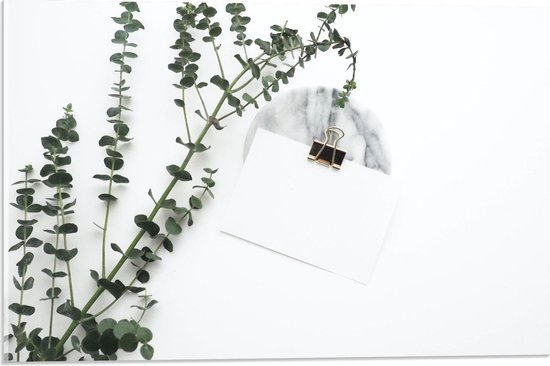 Acrylglas - Witte Enveloppe met Groene Plant - 60x40cm Foto op Acrylglas (Wanddecoratie op Acrylglas)