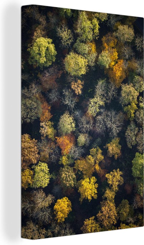 Canvas Schilderij Boom - Herfst - Groen - 60x90 cm - Wanddecoratie